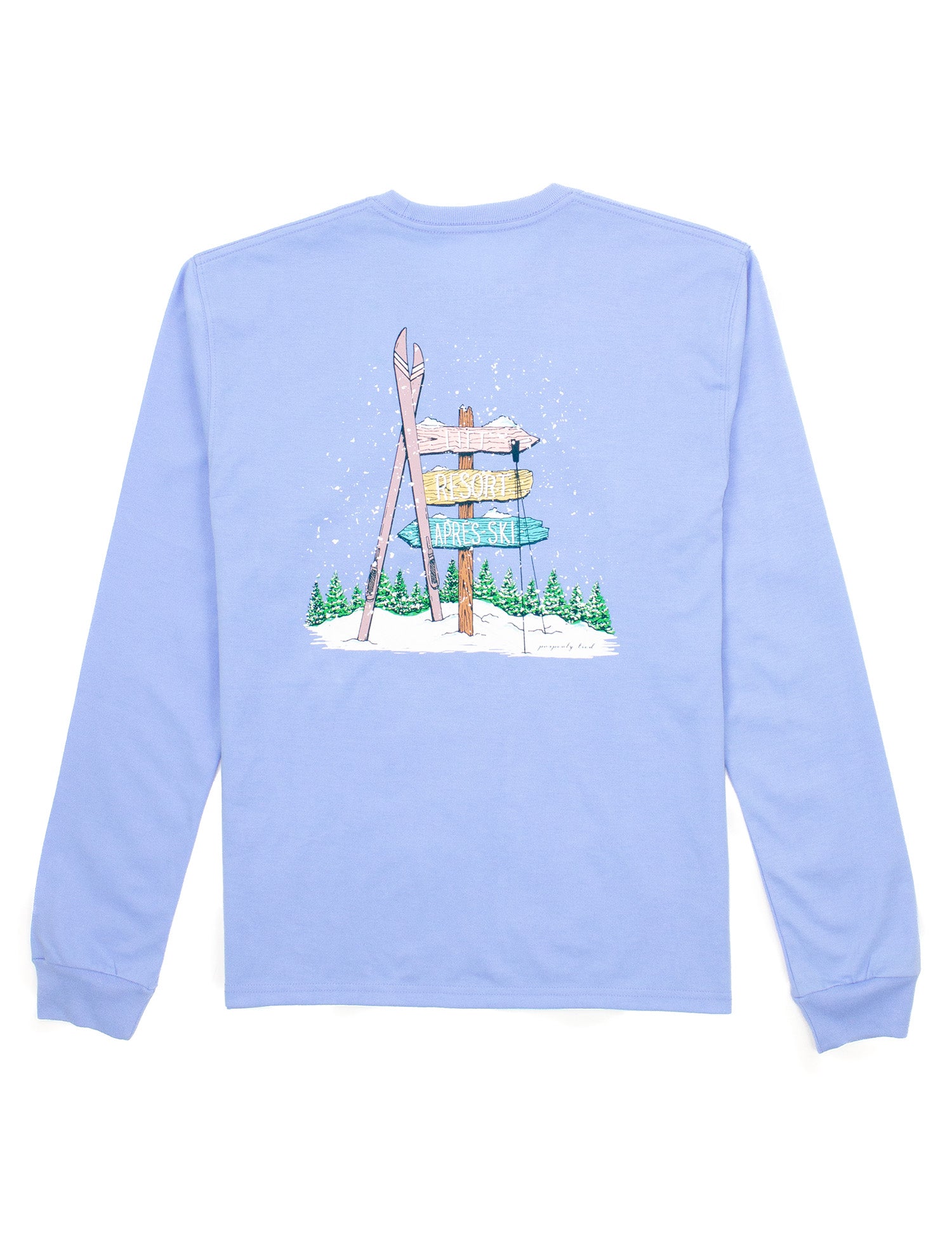 Ski Directions LS Light Blue