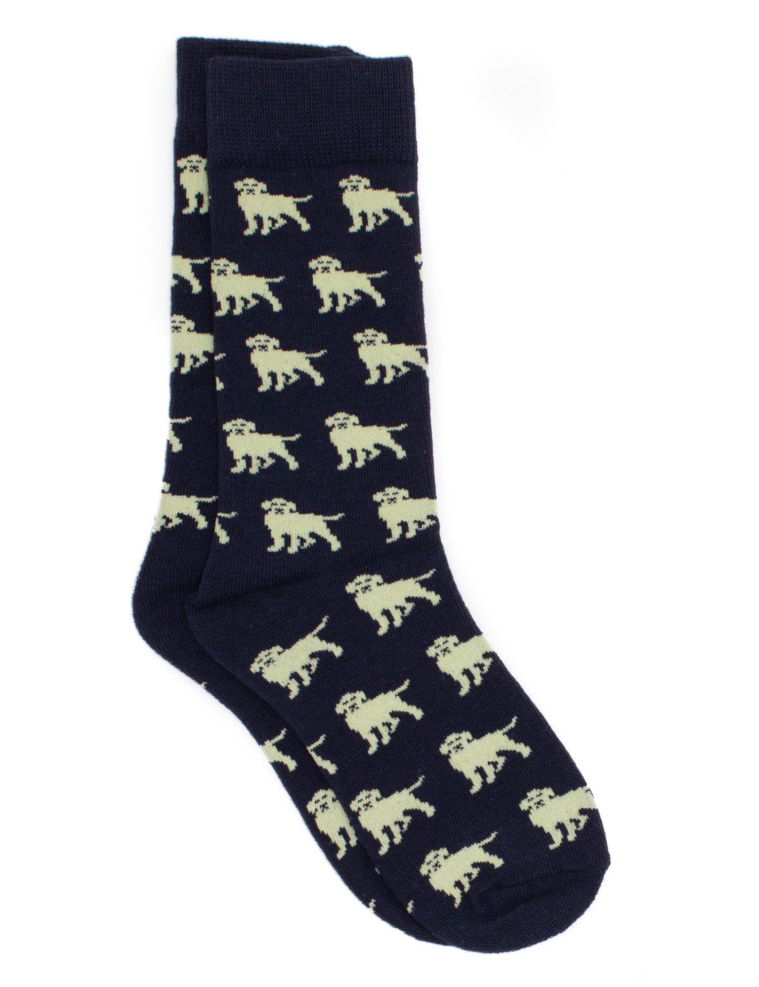 Boys Lucky Duck Sock Golden Retriever